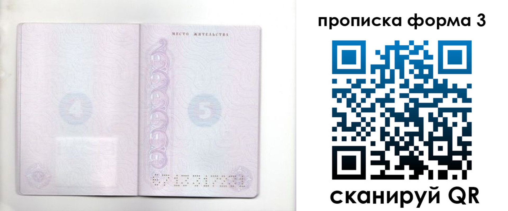 прописка гарантия в Бавлах